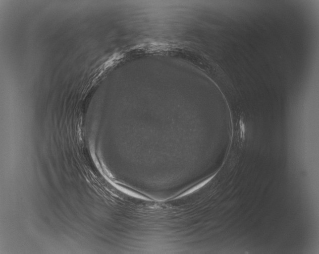 X0000085071348200703261220