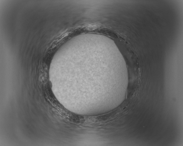 X0000085071349200703261220