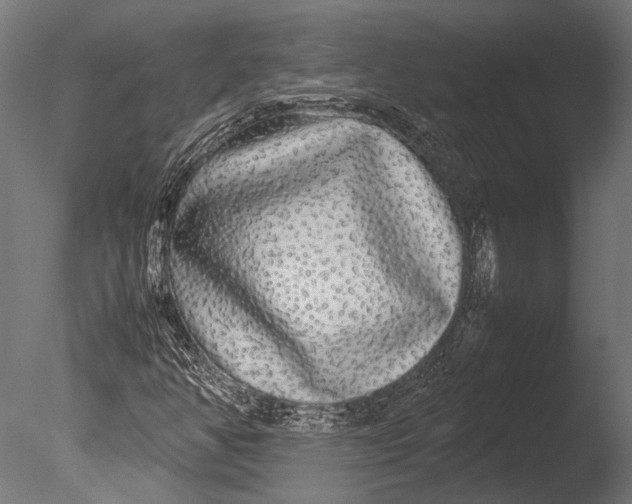 X0000085071350200703261220