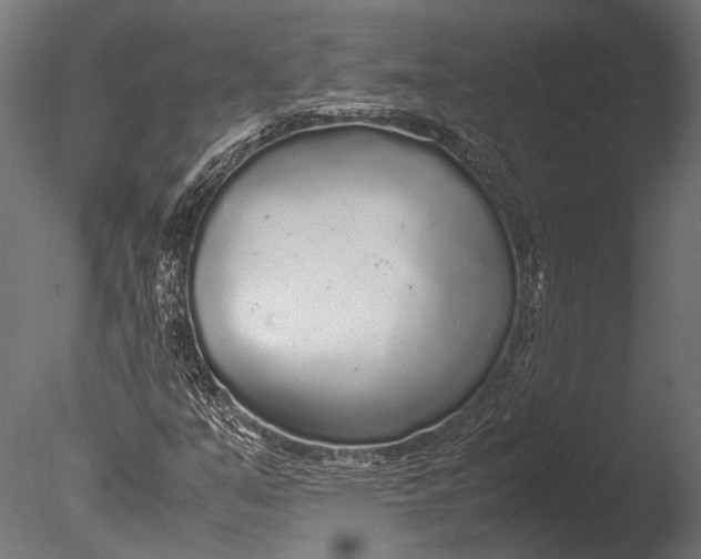 X0000085071351200703261220