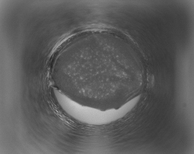 X0000085071352200703261220