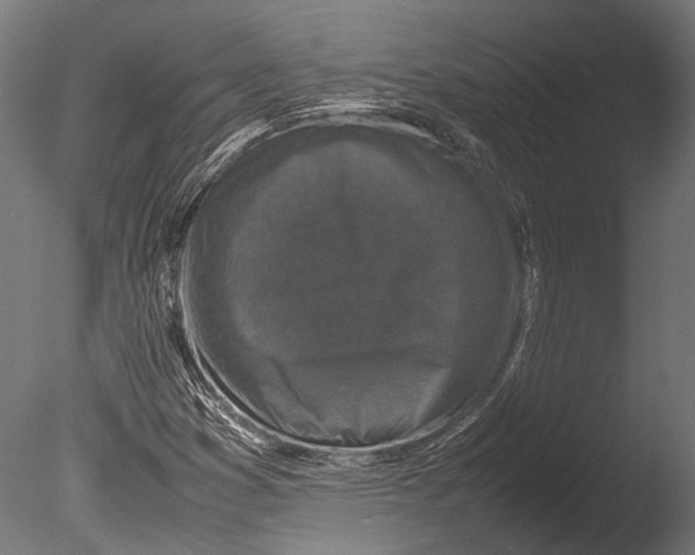 X0000085071353200703261220