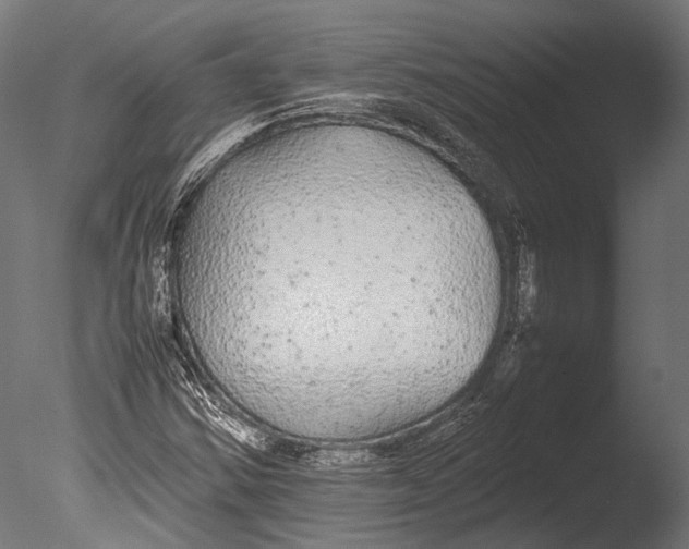 X0000085071354200703261220