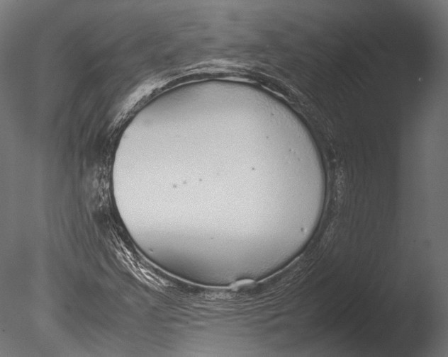 X0000085071355200703261220