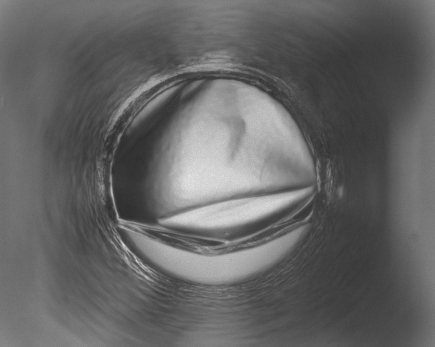 X0000085071356200703261220