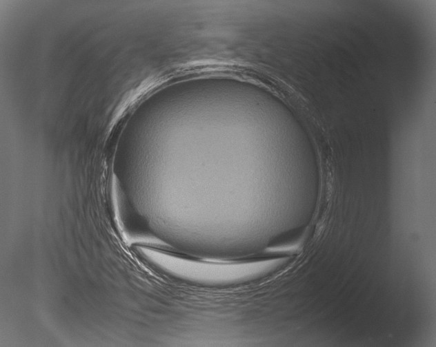 X0000085071357200703261220