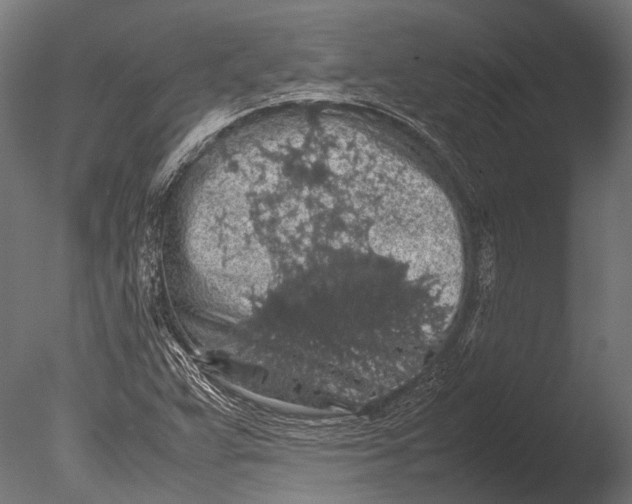 X0000085071359200703261220