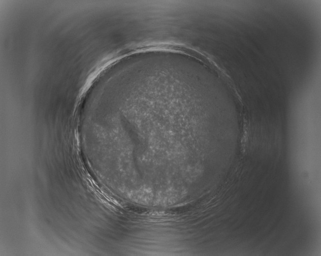 X0000085071360200703261220