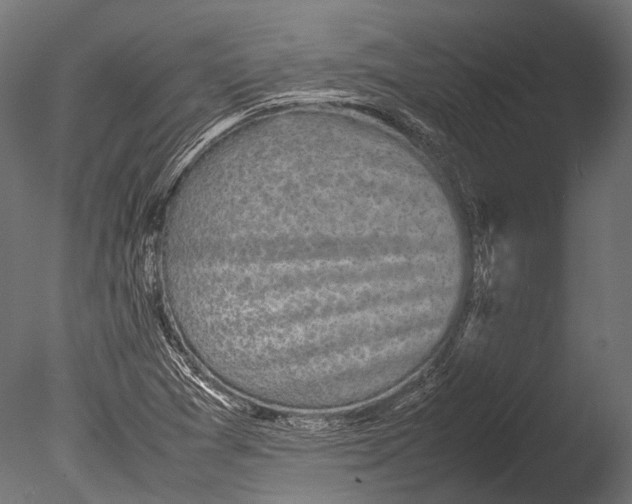 X0000085071361200703261220