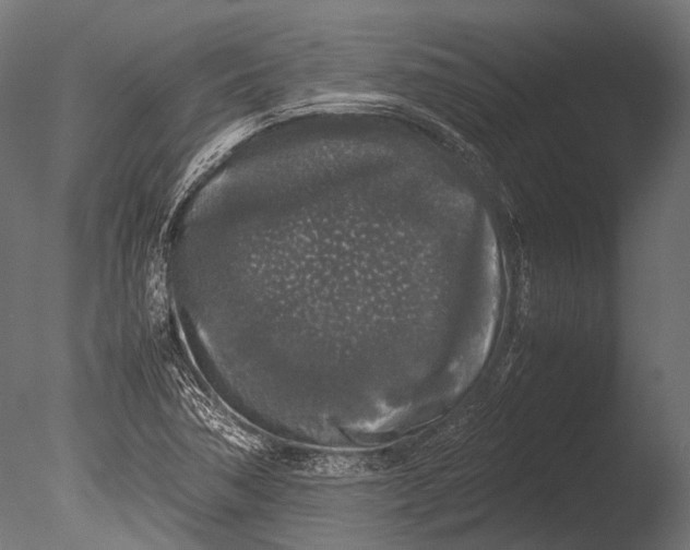 X0000085071362200703261220