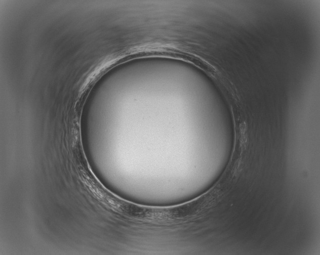 X0000085071363200703261220