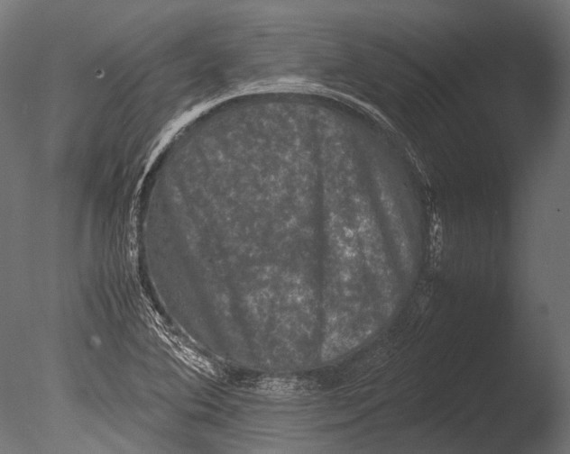 X0000085071364200703261220