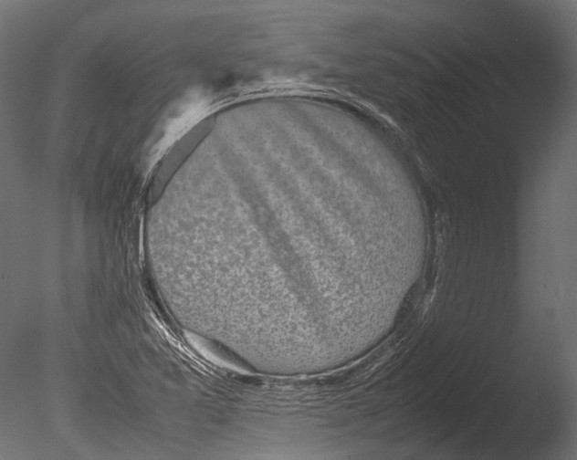 X0000085071365200703261220