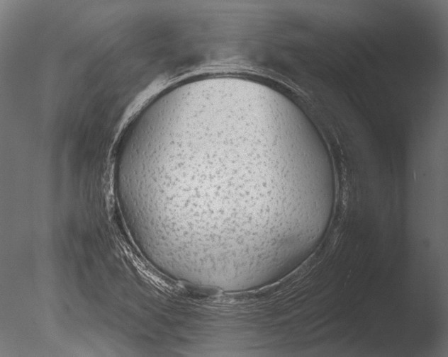 X0000085071366200703261220