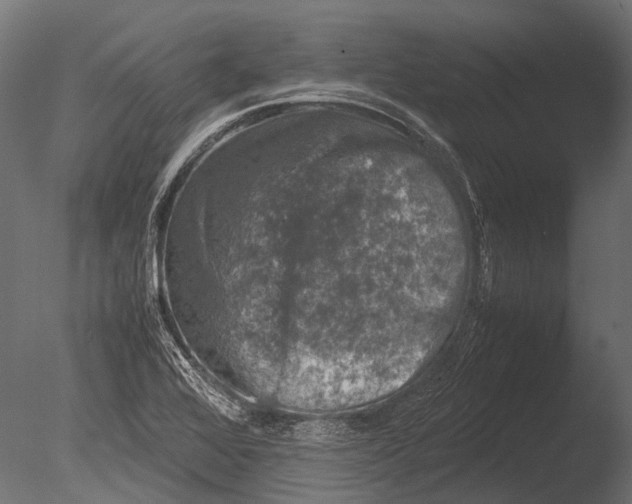 X0000085071368200703261220