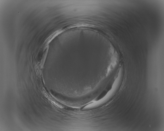 X0000085071369200703261220