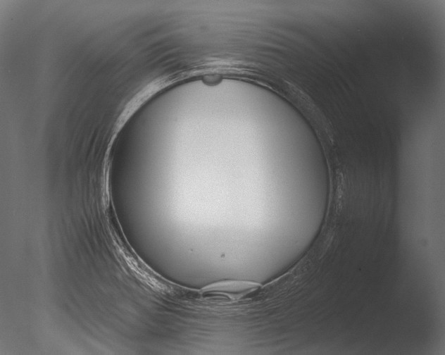 X0000085071370200703261220