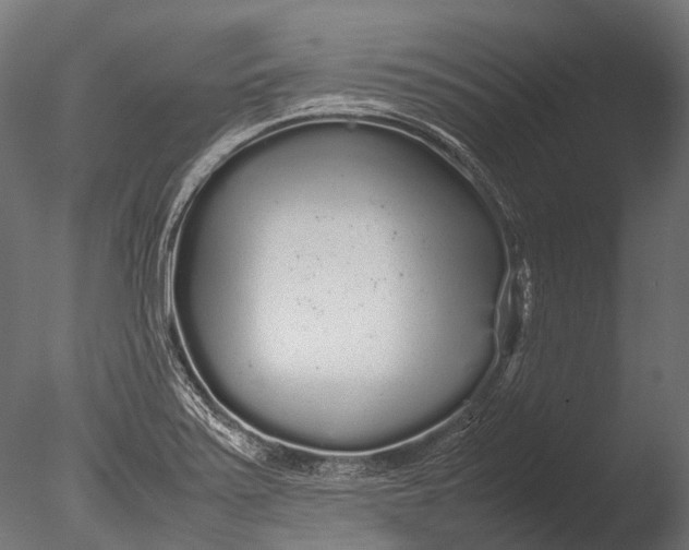 X0000085071371200703261220