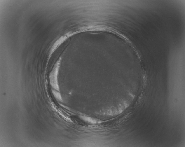 X0000085071373200703261220