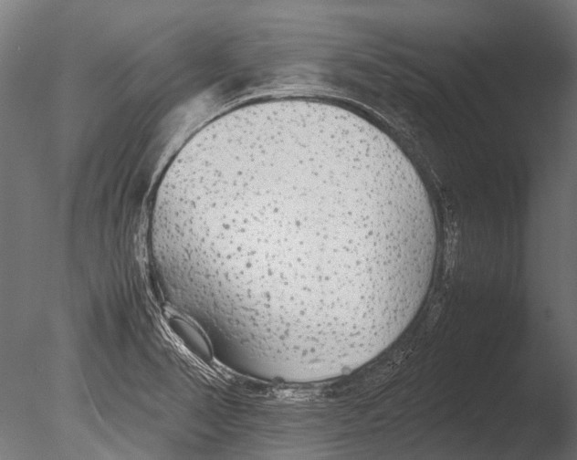 X0000085071374200703261220