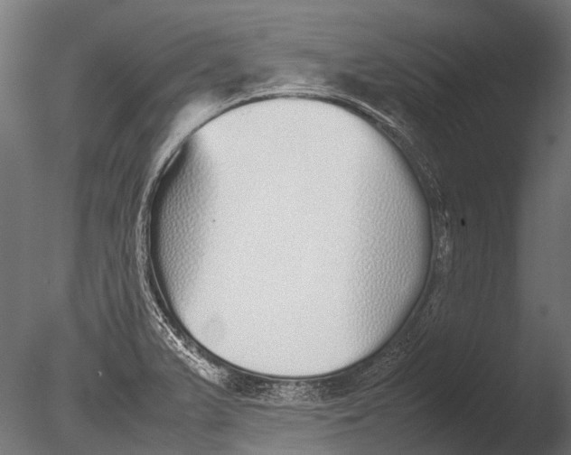 X0000085071375200703261220