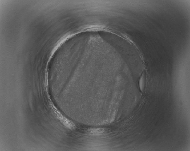 X0000085071376200703261220