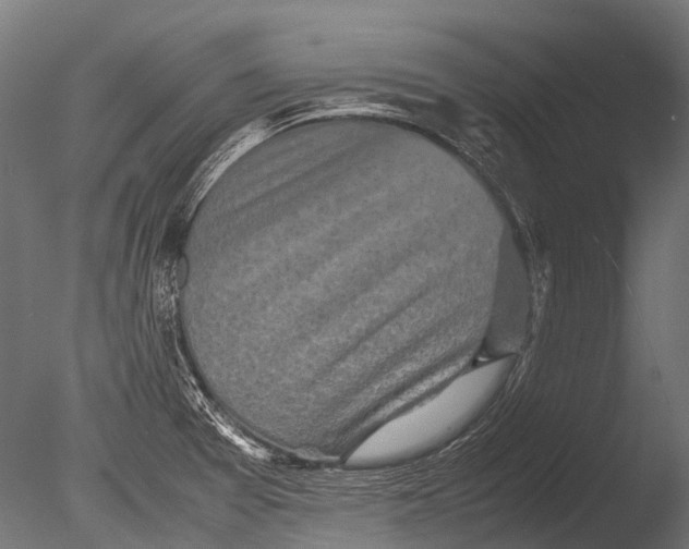 X0000085071377200703261220