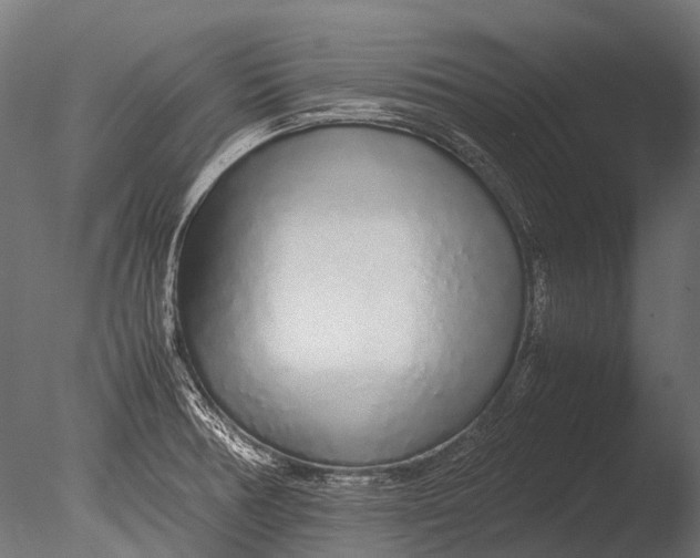 X0000085071378200703261220