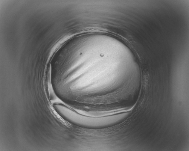 X0000085071379200703261220