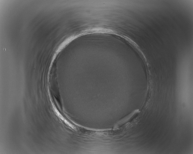 X0000085071381200703261220