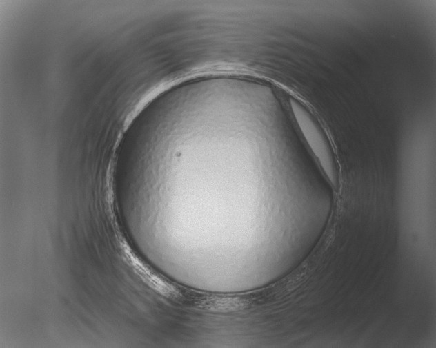 X0000085071382200703261220