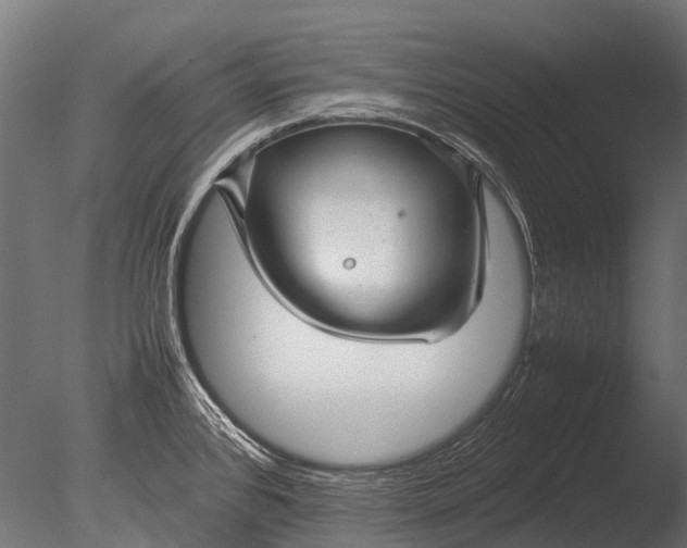 X0000085071384200703261220