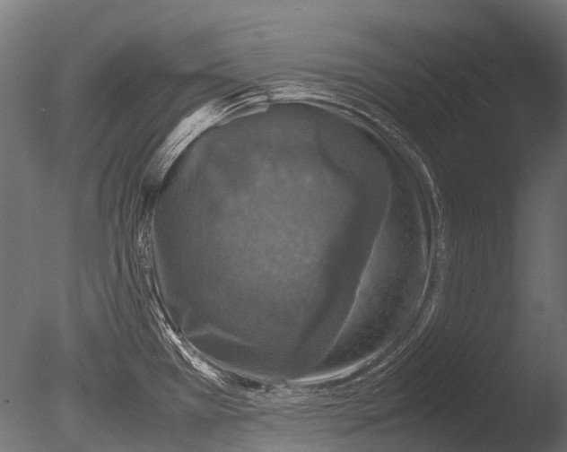 X0000085071385200703261220