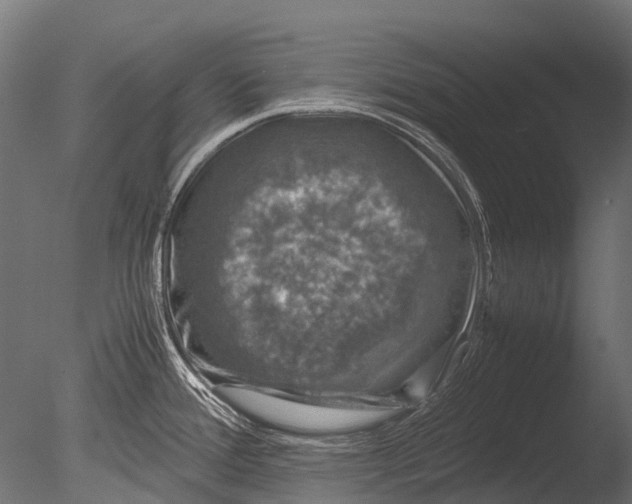 X0000085071388200703261220