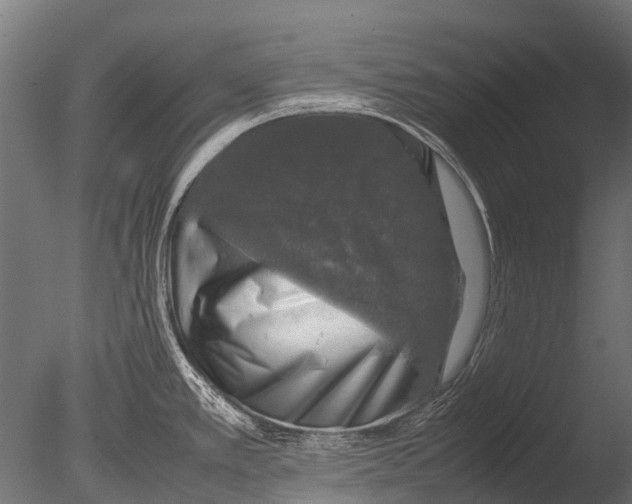 X0000085071389200703261220