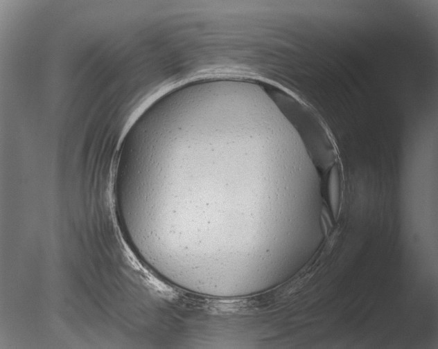 X0000085071390200703261220