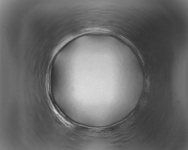 X0000085071391200703261220