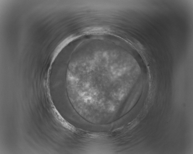 X0000085071392200703261220