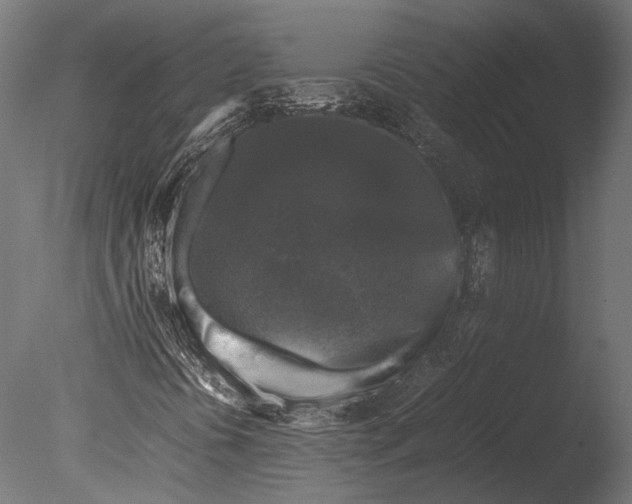 X0000085071394200703261219