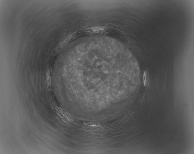 X0000085071395200703261219