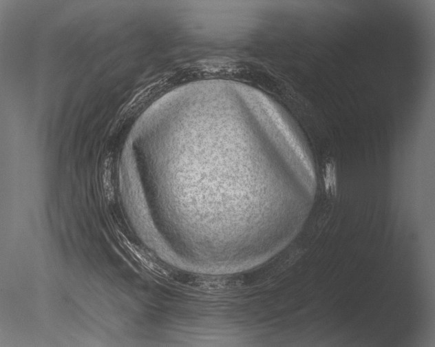 X0000085071396200703261219