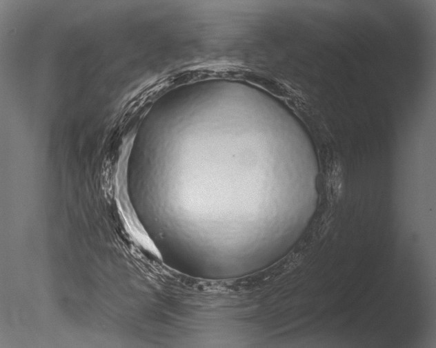 X0000085071398200703261219