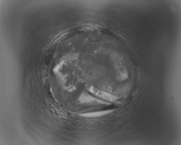 X0000085071399200703261219