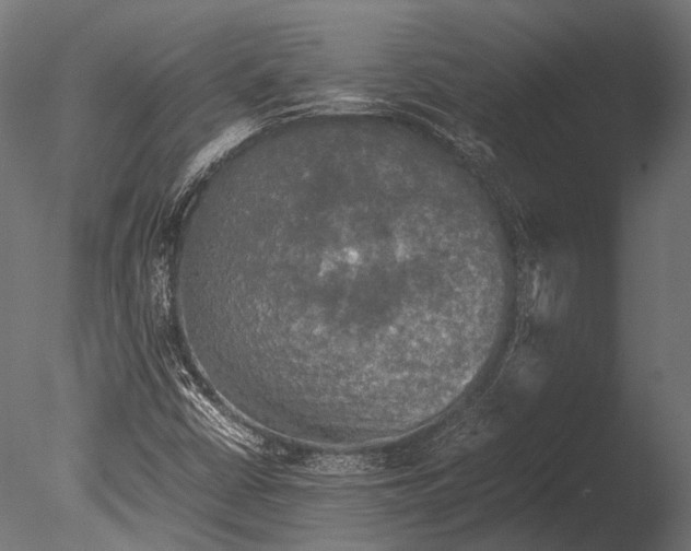 X0000085071402200703261219