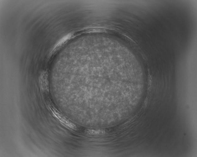 X0000085071403200703261219