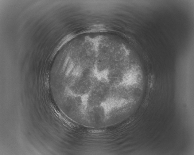 X0000085071409200703261219