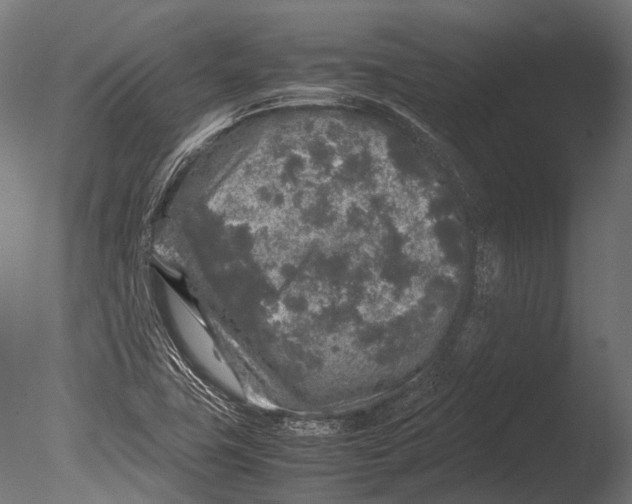 X0000085071411200703261219