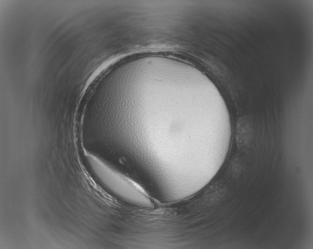 X0000085071412200703261219