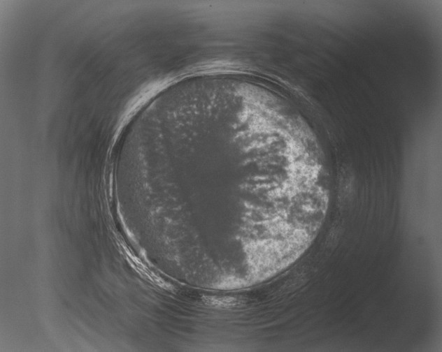 X0000085071413200703261219