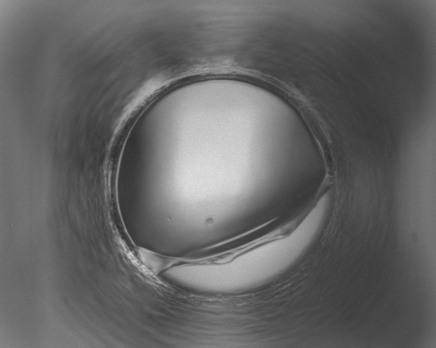 X0000085071416200703261219